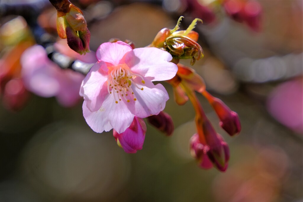 散歩の途中で。３