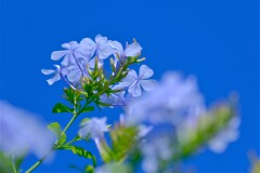 散歩の途中で。②