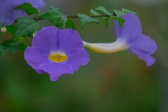 散歩の途中で。