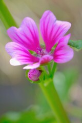 散歩の途中で。Ⅳ