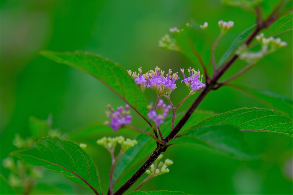 散歩の途中で。Ⅹ