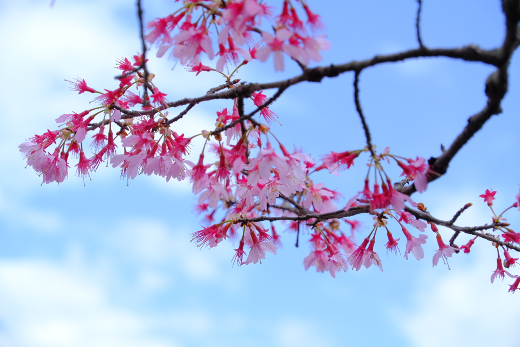 散歩の途中で。②