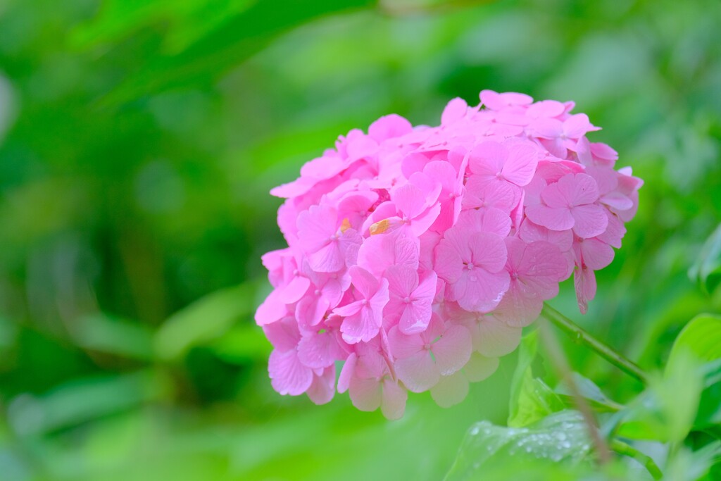 散歩の途中で。