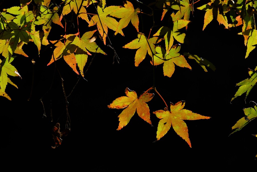 散歩の途中で、5