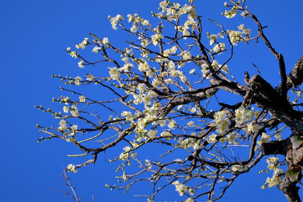 散歩の途中で。Ⅰ