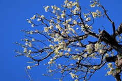 散歩の途中で。Ⅰ