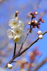 散歩の途中で。１