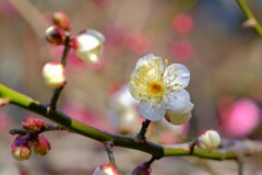 散歩の途中で。２