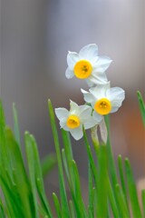 散歩の途中で。８