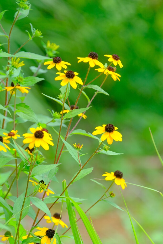 散歩の途中で。