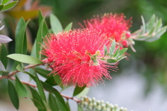 連休最終日（９）