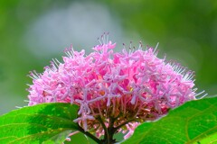 散歩の途中で。