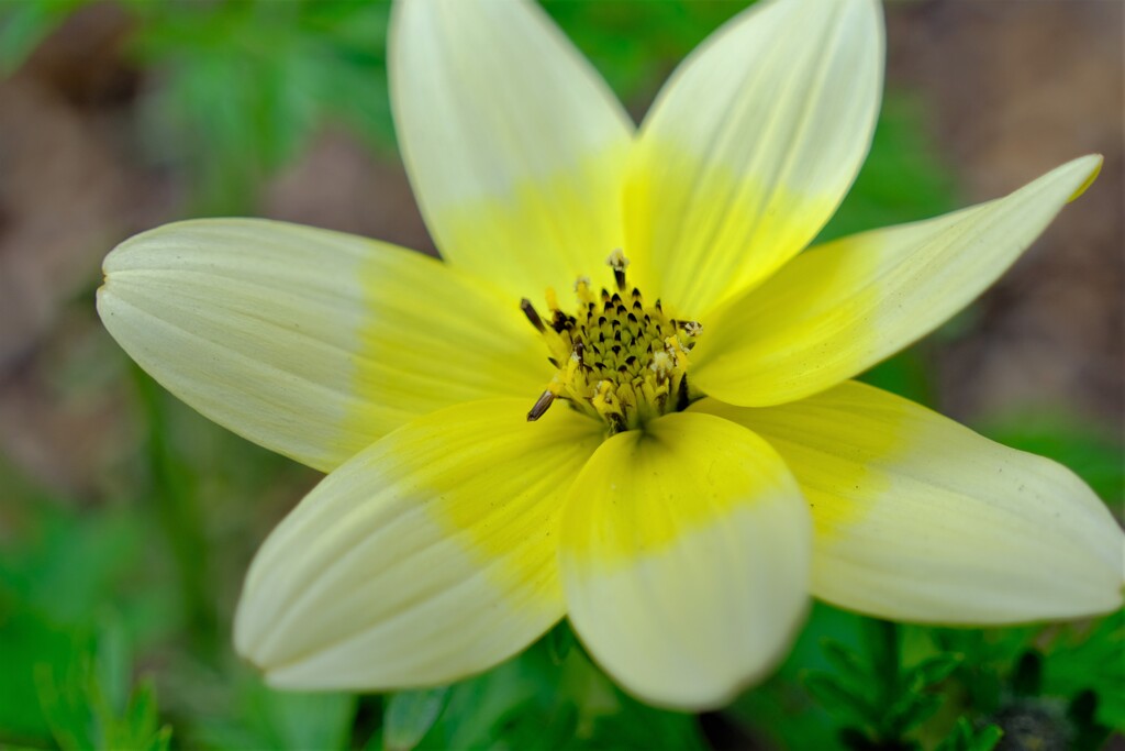 散歩の途中で。②