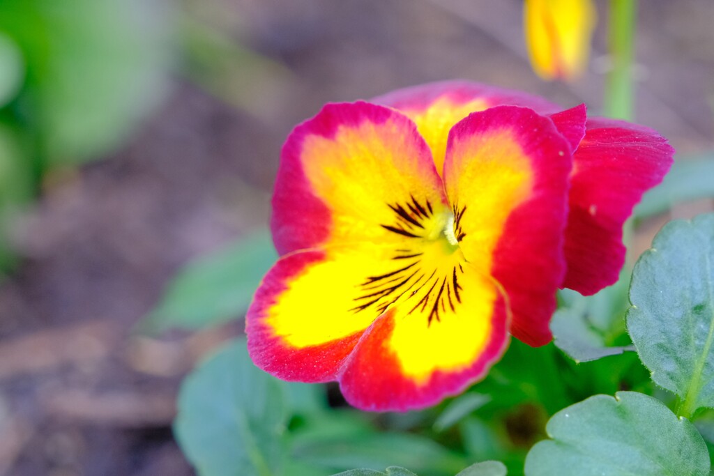 散歩の途中で。②