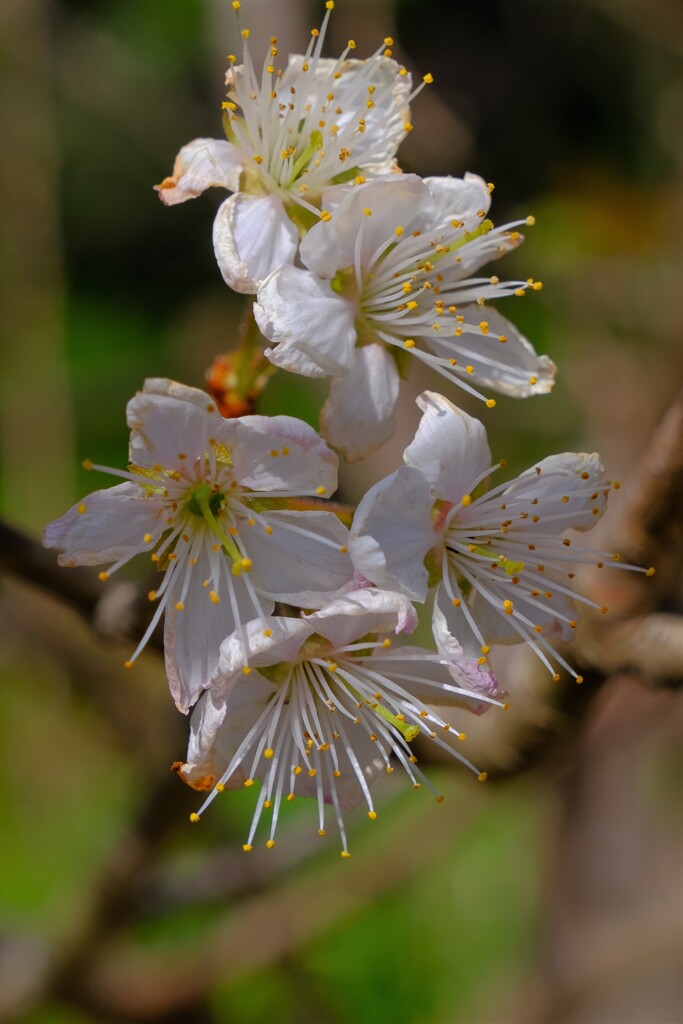 散歩の途中で。Ⅱ