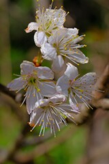 散歩の途中で。Ⅱ