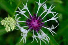 散歩の途中で。2