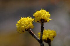 散歩の途中で。2