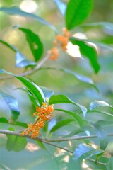 散歩の途中で。①