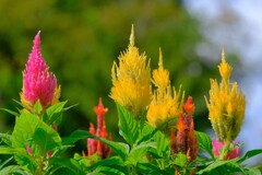 散歩の途中で。⑥