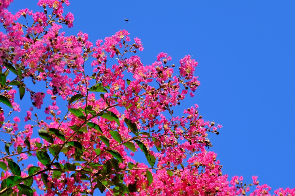 散歩の途中で。６