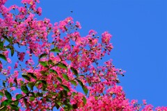 散歩の途中で。６