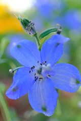 散歩の途中で。Ⅸ