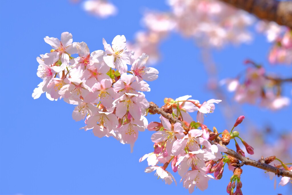 散歩の途中で。⑧