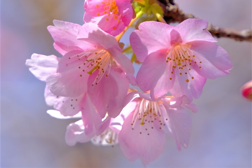 散歩の途中で。５