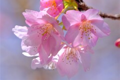 散歩の途中で。５