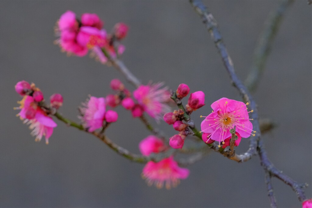 散歩の途中で。７