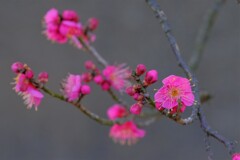 散歩の途中で。７