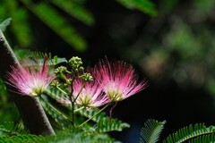 散歩の途中で。