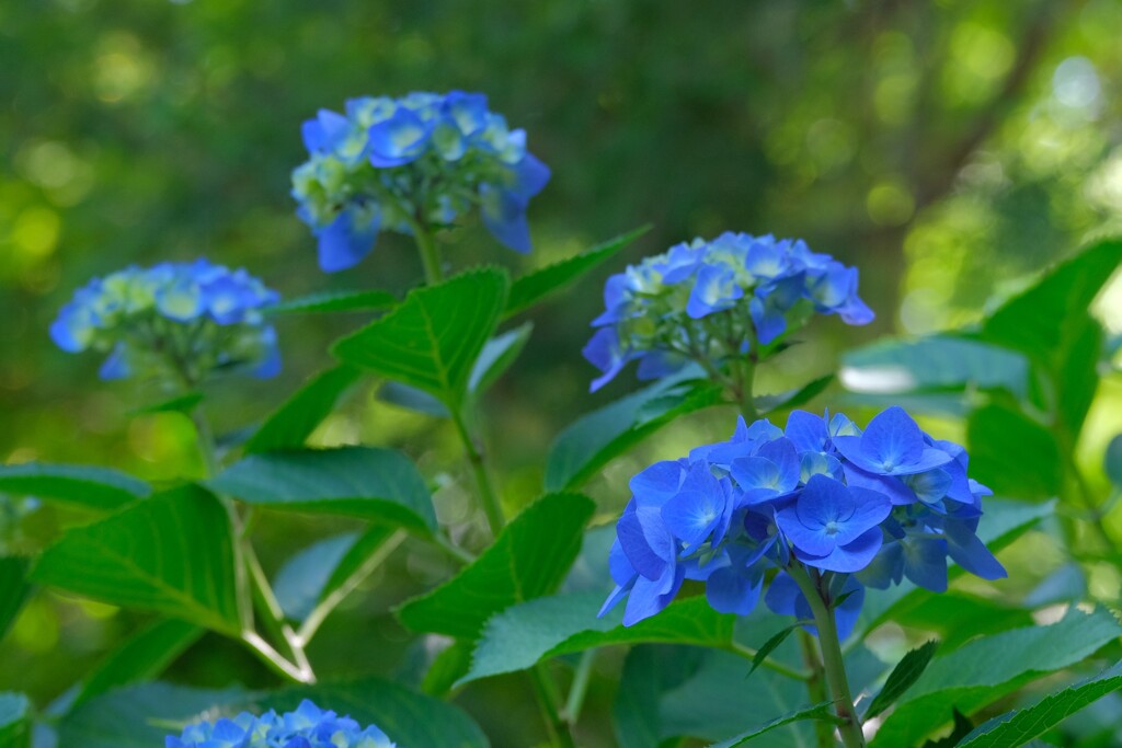 散歩の途中で。