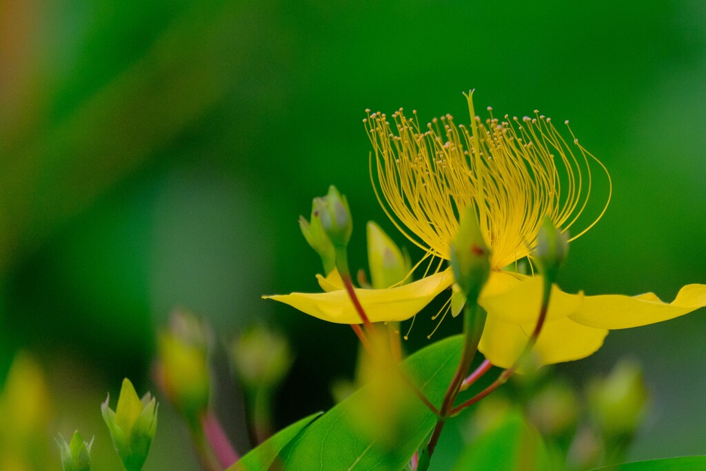 散歩の途中で。