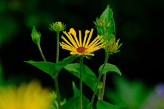 散歩の途中で。