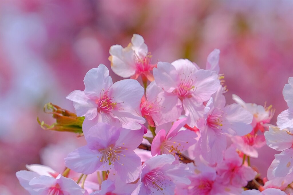 散歩の途中で。②