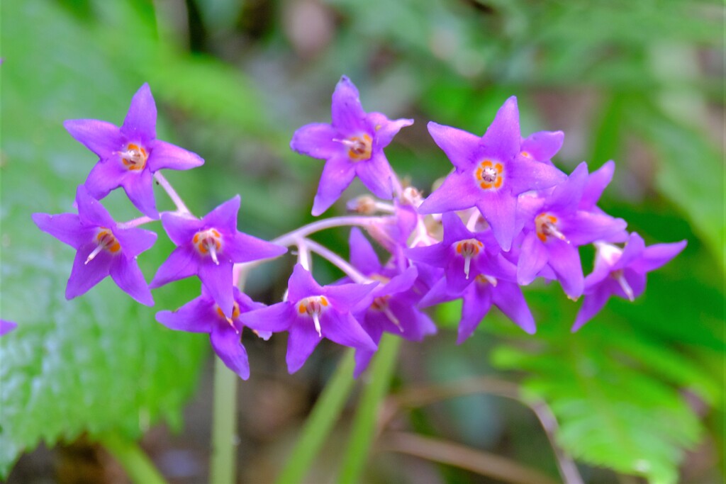 散歩の途中で。⑩