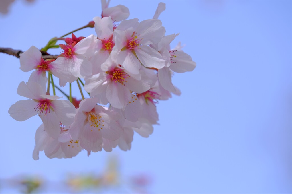 散歩の途中で。Ⅵ