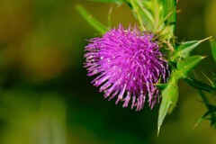 散歩の途中で、4