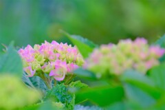 (2)散歩の途中で。-16