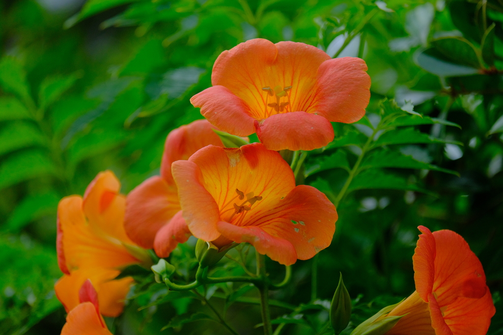 散歩の途中で。