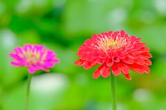 散歩の途中で。