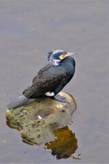 散歩の途中で。Ⅱ