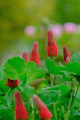 散歩の途中で。7