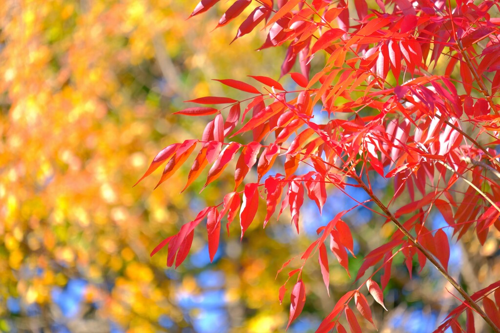 散歩の途中で。Ⅲ