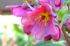 散歩の途中で。Ⅳ