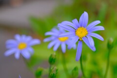 散歩の途中で。Ⅱ