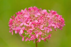 散歩の途中で。5