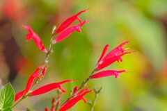 散歩の途中で。②